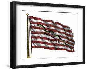 Colonists' Rattlesnake Flag with Don't Tread on Me Slogan-null-Framed Giclee Print