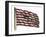 Colonists' Rattlesnake Flag with Don't Tread on Me Slogan-null-Framed Giclee Print