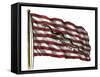 Colonists' Rattlesnake Flag with Don't Tread on Me Slogan-null-Framed Stretched Canvas