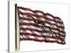 Colonists' Rattlesnake Flag with Don't Tread on Me Slogan-null-Stretched Canvas