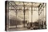 Colonnade, from Photographic Views of the Progress of the Crystal Palace, Sydenham, 1855-Philip Henry Delamotte-Stretched Canvas
