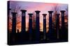 Colonnade in a park at sunset, 95 Bell Carillons, Bicentennial Mall State Park, Nashville, David...-null-Stretched Canvas
