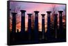 Colonnade in a park at sunset, 95 Bell Carillons, Bicentennial Mall State Park, Nashville, David...-null-Framed Stretched Canvas