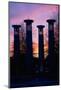 Colonnade in a park at sunset, 95 Bell Carillons, Bicentennial Mall State Park, Nashville, David...-null-Mounted Photographic Print