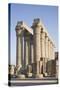 Colonnade, Luxor Temple, Luxor, Thebes, UNESCO World Heritage Site, Egypt, North Africa, Africa-Philip Craven-Stretched Canvas