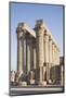 Colonnade, Luxor Temple, Luxor, Thebes, UNESCO World Heritage Site, Egypt, North Africa, Africa-Philip Craven-Mounted Photographic Print