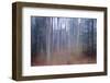 Colonnade of the Giants-Jacob Berghoef-Framed Photographic Print