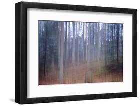 Colonnade of the Giants-Jacob Berghoef-Framed Photographic Print