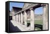 Colonnade, Stabian Baths, Pompeii-null-Framed Stretched Canvas