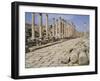 Colonnaded Street, Roman Ruins, Jerash, Jordan, Middle East-David Poole-Framed Photographic Print