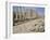 Colonnaded Street, Roman Ruins, Jerash, Jordan, Middle East-David Poole-Framed Photographic Print