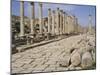 Colonnaded Street, Roman Ruins, Jerash, Jordan, Middle East-David Poole-Mounted Photographic Print