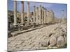 Colonnaded Street, Roman Ruins, Jerash, Jordan, Middle East-David Poole-Mounted Photographic Print