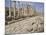 Colonnaded Street, Roman Ruins, Jerash, Jordan, Middle East-David Poole-Mounted Photographic Print