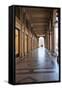 Colonnades Along Via Roma, Turin, Piedmont, Italy, Europe-Mark Sunderland-Framed Stretched Canvas