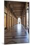 Colonnades Along Via Roma, Turin, Piedmont, Italy, Europe-Mark Sunderland-Mounted Photographic Print