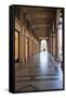 Colonnades Along Via Roma, Turin, Piedmont, Italy, Europe-Mark Sunderland-Framed Stretched Canvas