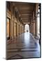 Colonnades Along Via Roma, Turin, Piedmont, Italy, Europe-Mark Sunderland-Mounted Photographic Print