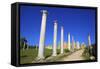 Colonnades of the Gymnasium, Salamis, North Cyprus, Cyprus, Europe-Neil Farrin-Framed Stretched Canvas