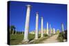 Colonnades of the Gymnasium, Salamis, North Cyprus, Cyprus, Europe-Neil Farrin-Stretched Canvas