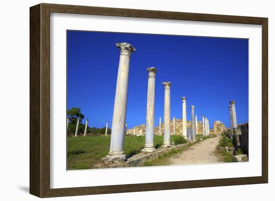 Colonnades of the Gymnasium, Salamis, North Cyprus, Cyprus, Europe-Neil Farrin-Framed Photographic Print