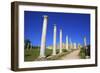 Colonnades of the Gymnasium, Salamis, North Cyprus, Cyprus, Europe-Neil Farrin-Framed Photographic Print