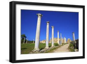 Colonnades of the Gymnasium, Salamis, North Cyprus, Cyprus, Europe-Neil Farrin-Framed Photographic Print