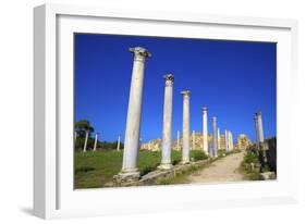 Colonnades of the Gymnasium, Salamis, North Cyprus, Cyprus, Europe-Neil Farrin-Framed Photographic Print