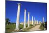 Colonnades of the Gymnasium, Salamis, North Cyprus, Cyprus, Europe-Neil Farrin-Mounted Photographic Print
