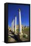 Colonnades of the Gymnasium, Salamis, North Cyprus, Cyprus, Europe-Neil Farrin-Framed Stretched Canvas