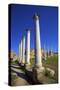 Colonnades of the Gymnasium, Salamis, North Cyprus, Cyprus, Europe-Neil Farrin-Stretched Canvas