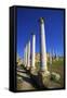 Colonnades of the Gymnasium, Salamis, North Cyprus, Cyprus, Europe-Neil Farrin-Framed Stretched Canvas