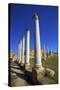 Colonnades of the Gymnasium, Salamis, North Cyprus, Cyprus, Europe-Neil Farrin-Stretched Canvas