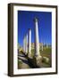 Colonnades of the Gymnasium, Salamis, North Cyprus, Cyprus, Europe-Neil Farrin-Framed Photographic Print