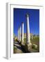 Colonnades of the Gymnasium, Salamis, North Cyprus, Cyprus, Europe-Neil Farrin-Framed Photographic Print