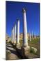 Colonnades of the Gymnasium, Salamis, North Cyprus, Cyprus, Europe-Neil Farrin-Mounted Photographic Print