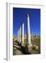 Colonnades of the Gymnasium, Salamis, North Cyprus, Cyprus, Europe-Neil Farrin-Framed Photographic Print