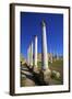 Colonnades of the Gymnasium, Salamis, North Cyprus, Cyprus, Europe-Neil Farrin-Framed Photographic Print