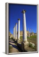 Colonnades of the Gymnasium, Salamis, North Cyprus, Cyprus, Europe-Neil Farrin-Framed Photographic Print