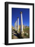 Colonnades of the Gymnasium, Salamis, North Cyprus, Cyprus, Europe-Neil Farrin-Framed Photographic Print