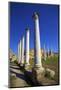 Colonnades of the Gymnasium, Salamis, North Cyprus, Cyprus, Europe-Neil Farrin-Mounted Photographic Print