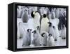 Colony of Emperor Penguins and Chicks, Snow Hill Island, Weddell Sea, Antarctica-Thorsten Milse-Framed Stretched Canvas