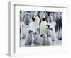 Colony of Emperor Penguins and Chicks, Snow Hill Island, Weddell Sea, Antarctica-Thorsten Milse-Framed Photographic Print