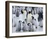 Colony of Emperor Penguins and Chicks, Snow Hill Island, Weddell Sea, Antarctica-Thorsten Milse-Framed Photographic Print