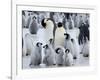 Colony of Emperor Penguins and Chicks, Snow Hill Island, Weddell Sea, Antarctica-Thorsten Milse-Framed Photographic Print