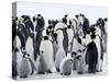 Colony of Emperor Penguins and Chicks, Snow Hill Island, Weddell Sea, Antarctica-Thorsten Milse-Stretched Canvas