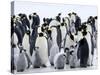 Colony of Emperor Penguins and Chicks, Snow Hill Island, Weddell Sea, Antarctica-Thorsten Milse-Stretched Canvas
