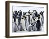 Colony of Emperor Penguins and Chicks, Snow Hill Island, Weddell Sea, Antarctica-Thorsten Milse-Framed Photographic Print