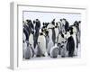 Colony of Emperor Penguins and Chicks, Snow Hill Island, Weddell Sea, Antarctica-Thorsten Milse-Framed Photographic Print