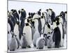 Colony of Emperor Penguins and Chicks, Snow Hill Island, Weddell Sea, Antarctica-Thorsten Milse-Mounted Photographic Print